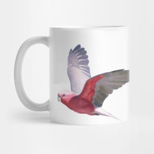 Cheeky galah, Beautiful galah, pink and grey parrot, flying galah with a cheeky grin. Mug